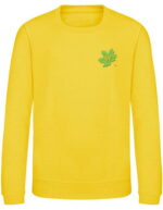 Bluza młodzieżowa - obrazek 4