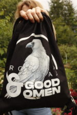 Koncerty - obrazek 2